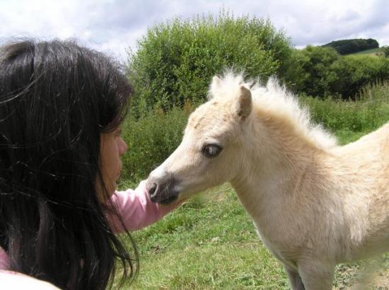 La tendresse