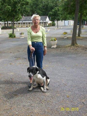 Promenade des Chiens