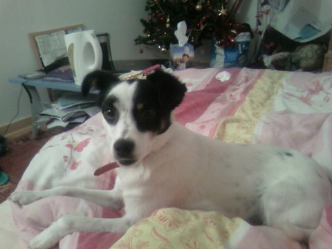 Bartok4
