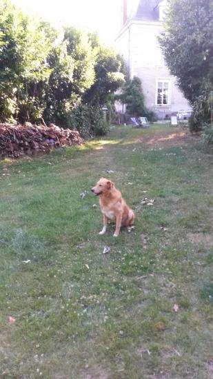 Cesar5