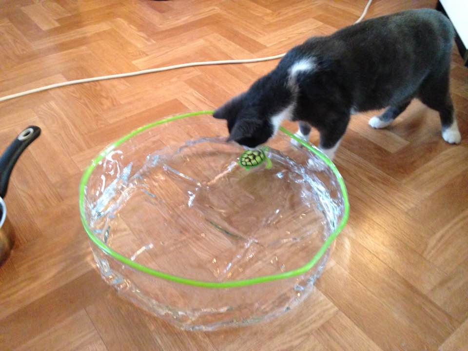 Chupa 1