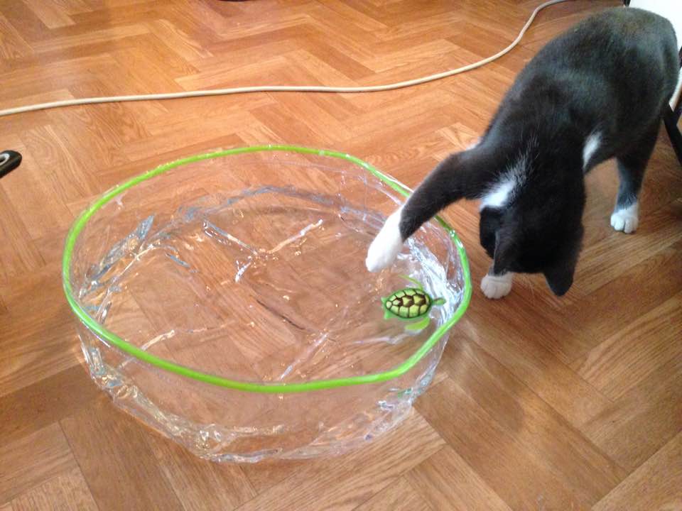 Chupa 2