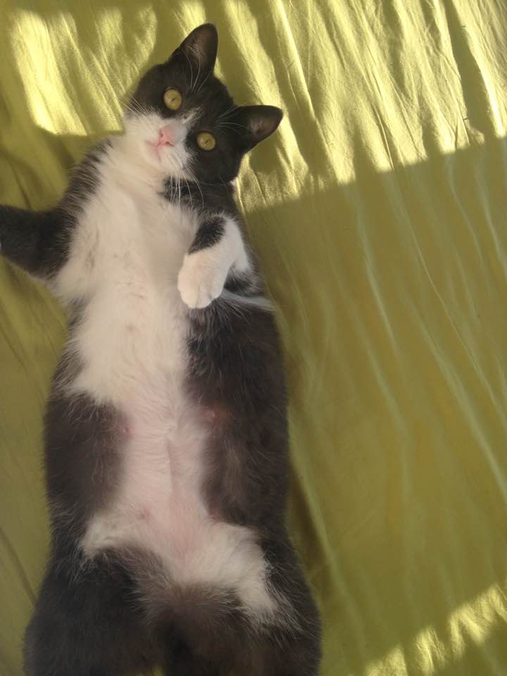 Chupa 3