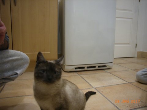 Frimousse 4