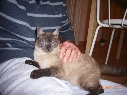 Frimousse 5