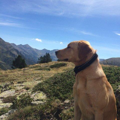 Herko2
