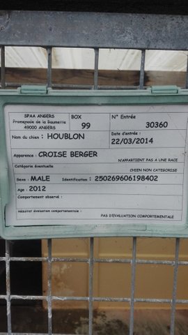 Houblon 4