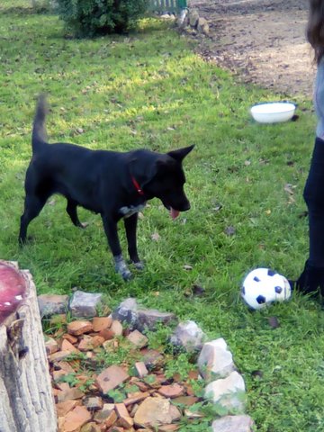 Iska 3