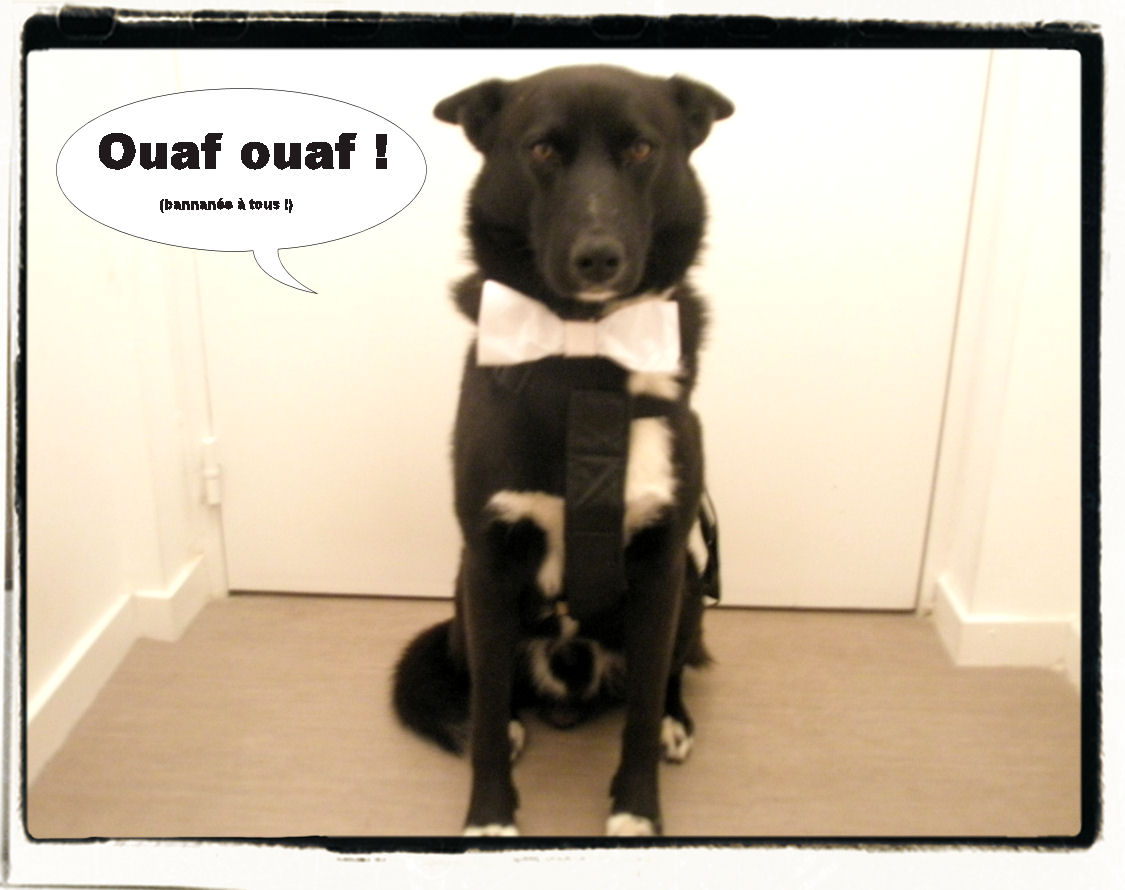 Janvier sur son 31