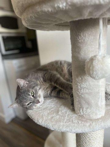 Josephine 2