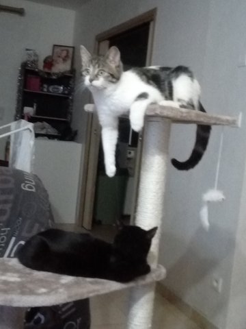 Kimy et jumper 2