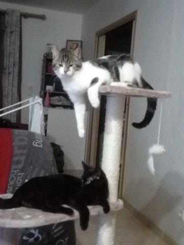 Kimy et jumper 3