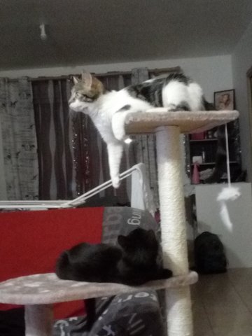 Kimy et jumper