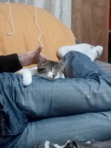 Kimy