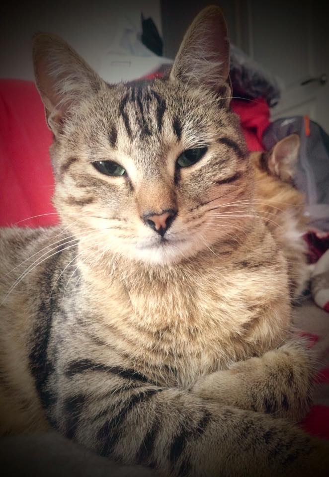 Litzie1