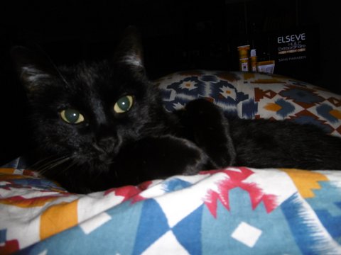 Minette 2
