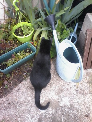 My cat6