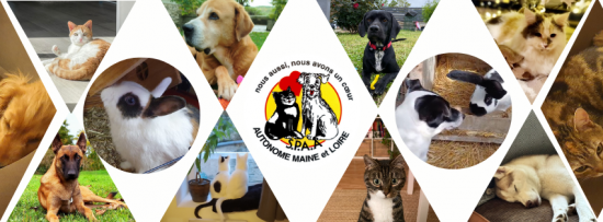 Page de couverture spaa